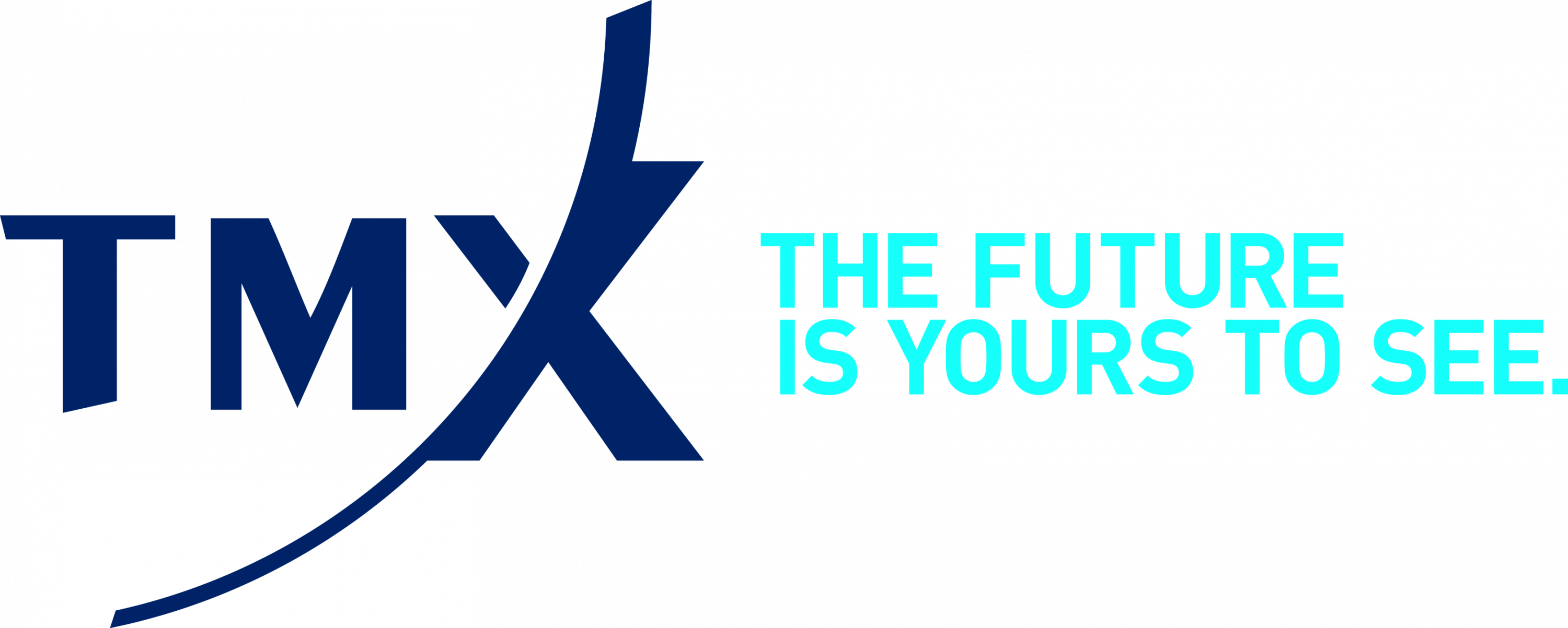 Toronto Stock Exchange s Venture Exchange